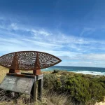 Bird Watching on Phillip Island