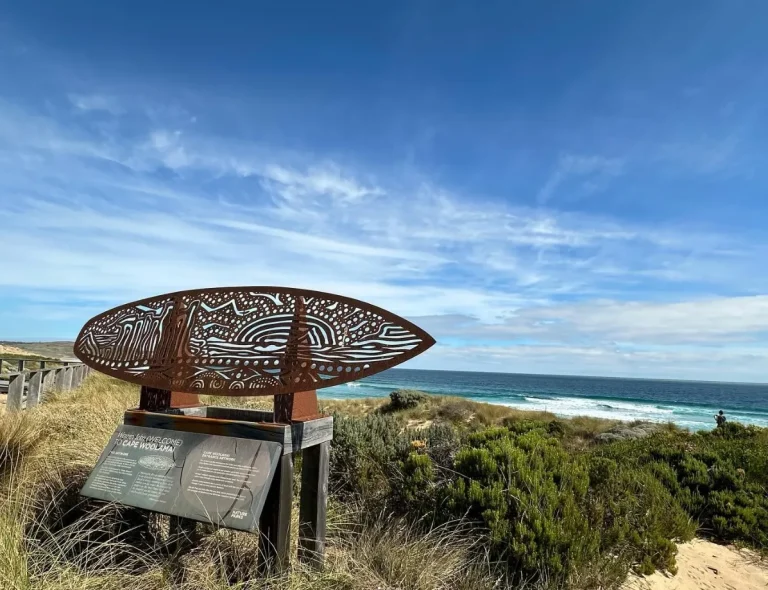 Bird Watching on Phillip Island