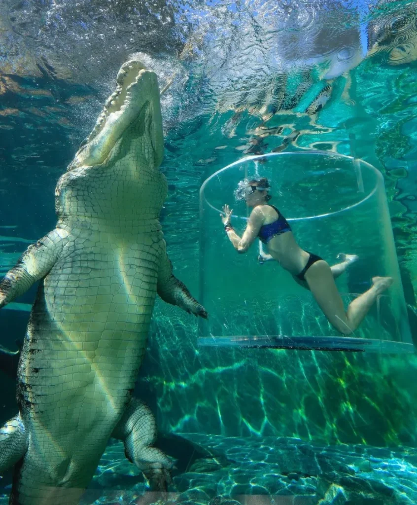 Crocosaurus Cove