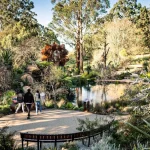 Exploring Yarra Valley’s Botanical Gardens and Parks