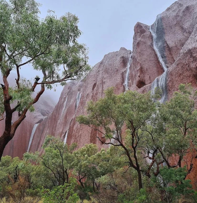 Importance of Permanent Water Sources in a Desert Environment