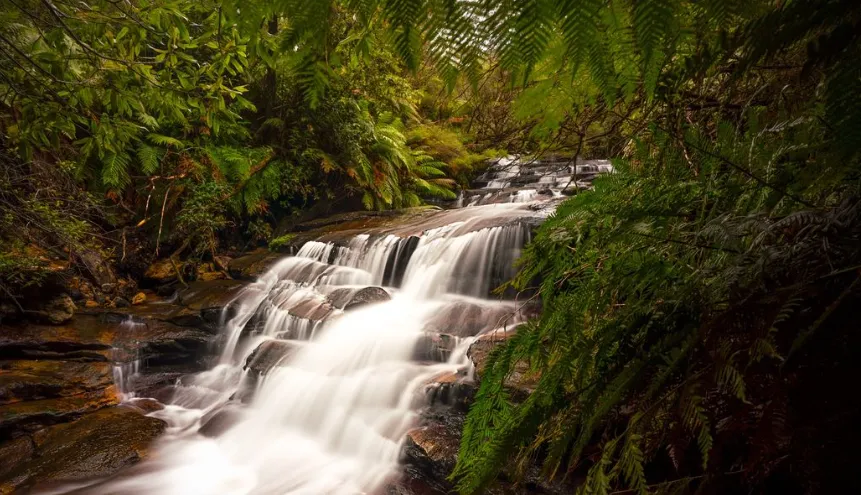 Leura Cascades