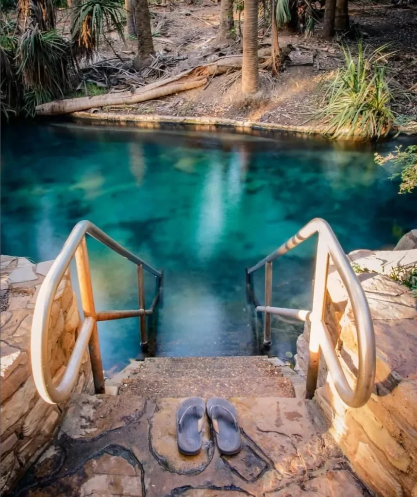 Mataranka Thermal Pool