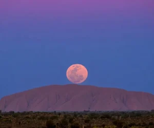 Must-Have Experiences While Visiting Uluru