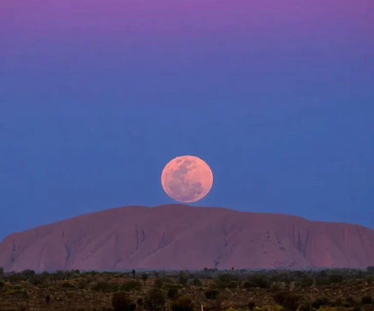 Must-Have Experiences While Visiting Uluru