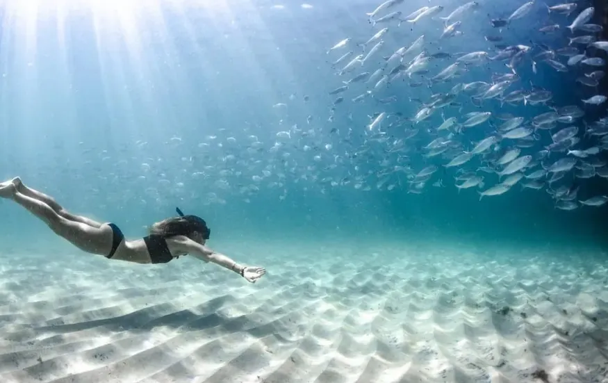 Ningaloo Reef