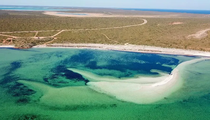 Shark Bay