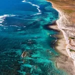 Top Spots for Whale Shark Sightings in Ningaloo Reef