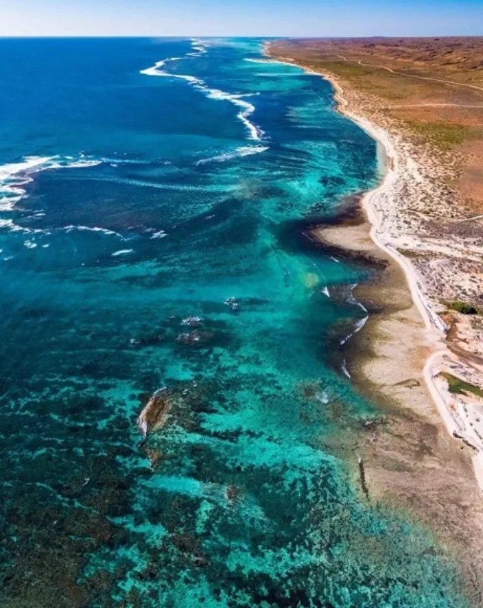 Top Spots for Whale Shark Sightings in Ningaloo Reef