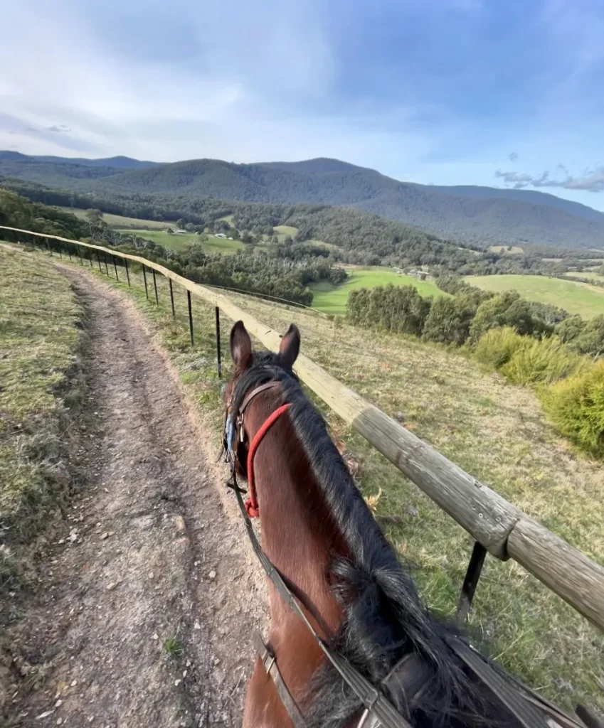 Chum Creek Horse Trail Rides