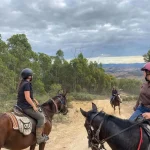 Horseback Riding Adventures in Yarra Valley