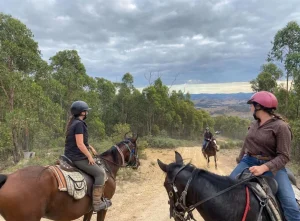 Horseback Riding Adventures in Yarra Valley