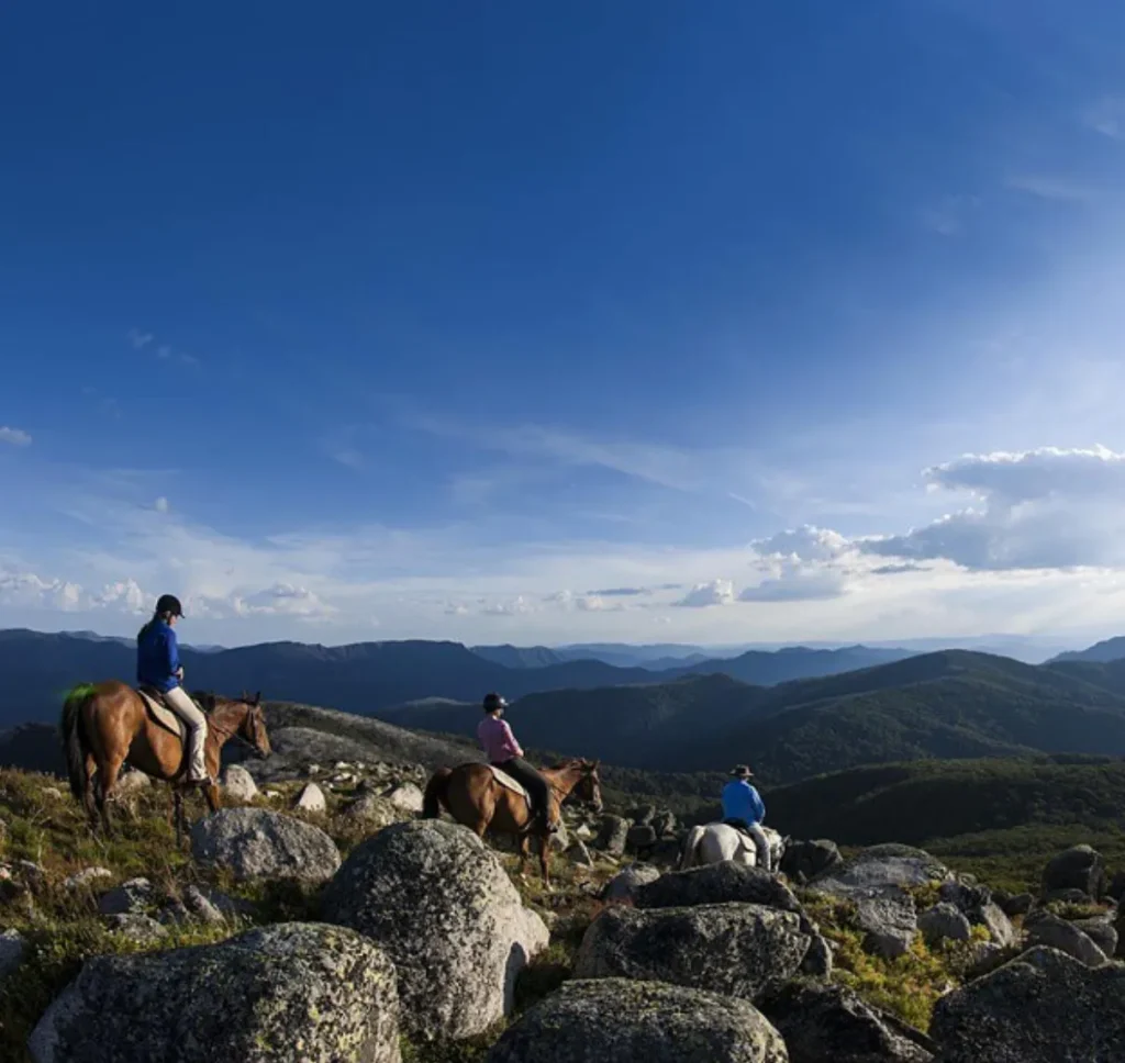 Mountain Country Trail Rides