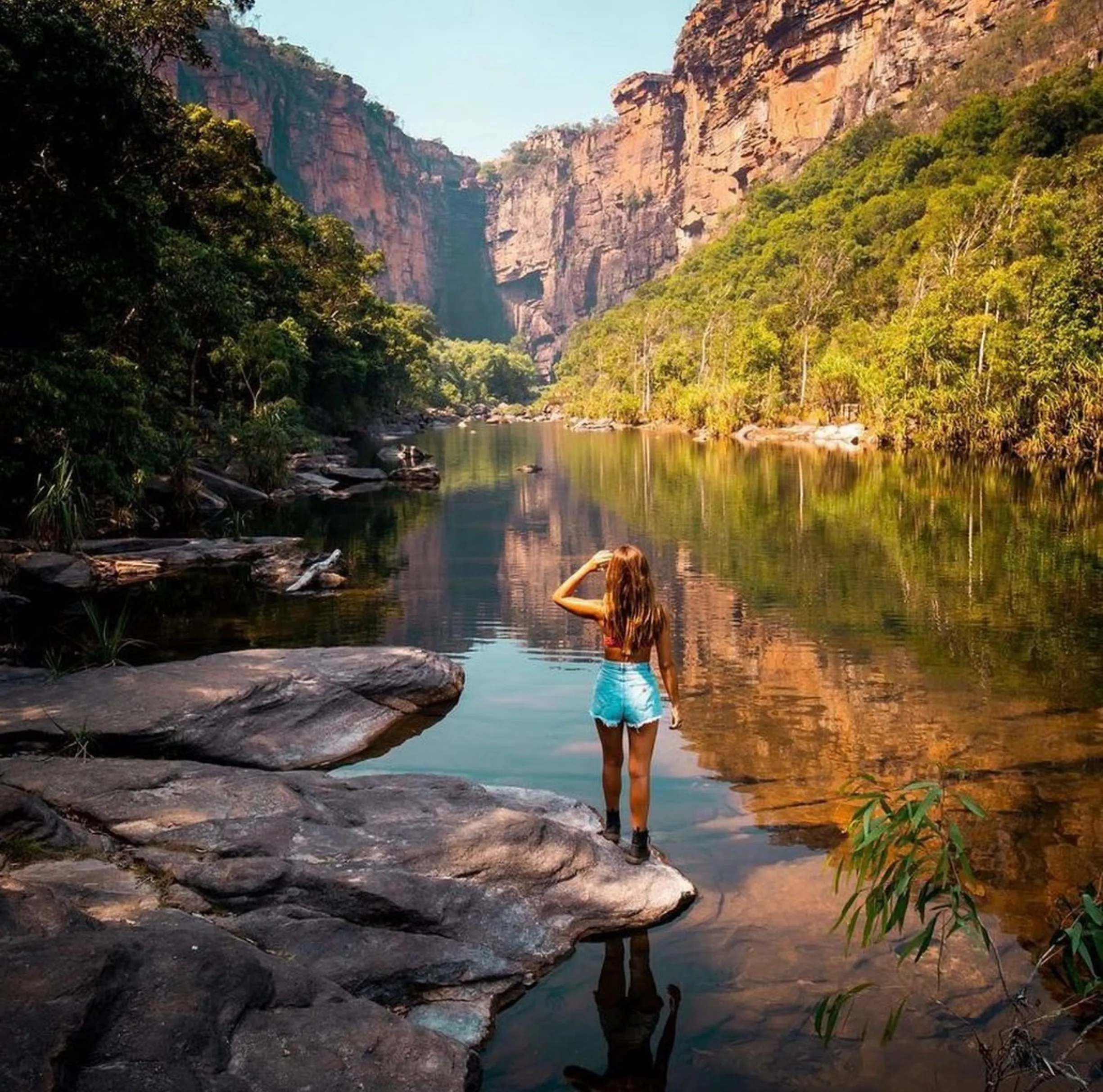 Kakadu wildlife and crocs